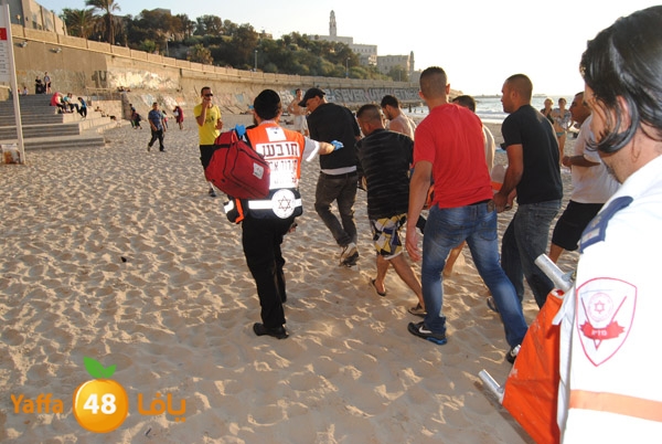 fallen from above 811 (12).JPG